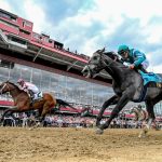 2025 Preakness payouts, results: Journalism edges Gosger at Pimlico